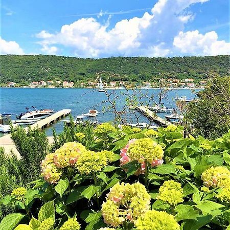 Apartments With Boat Mooring Marija سوبيتارسكا دراغا المظهر الخارجي الصورة