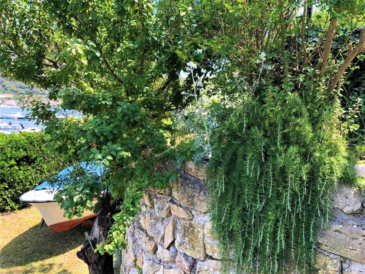 Apartments With Boat Mooring Marija سوبيتارسكا دراغا المظهر الخارجي الصورة